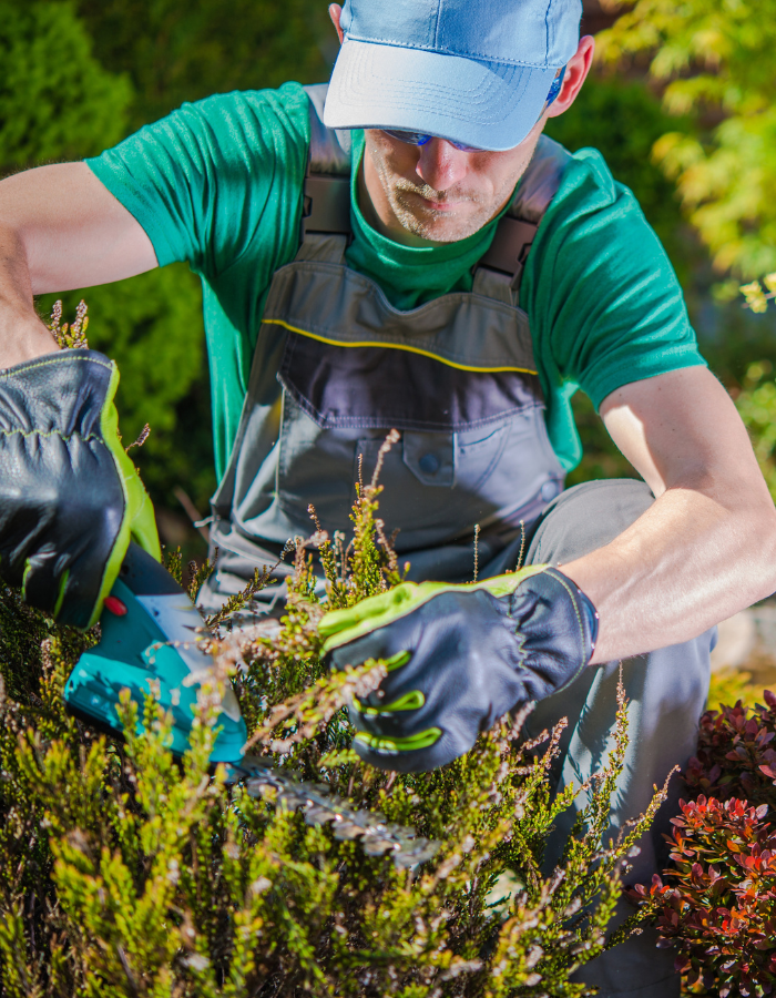 Jardinagem e conservação de áreas verdes — Ronsegur Rio Claro SP